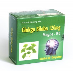 Гинкго Билоба (Ginkgo Biloba Magne-B6), 100 капсул